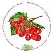 XZpqvIJhbkD4j5E0qafNcOOExLSeTv92zVe85AYP08i7BCYJiLRiAp-7PZrVHVuejeV4lIECYbqZoJN0JHayYkia.jpg